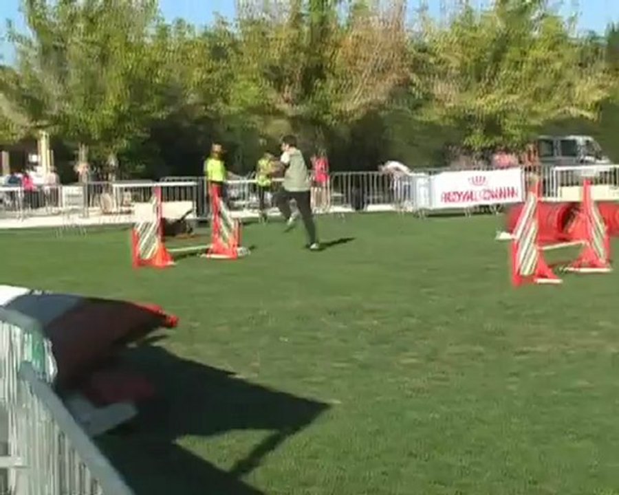 Flamme Collorgues wmv