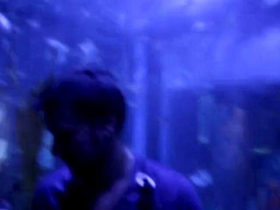 en la burbuja, oceanografico de valencia