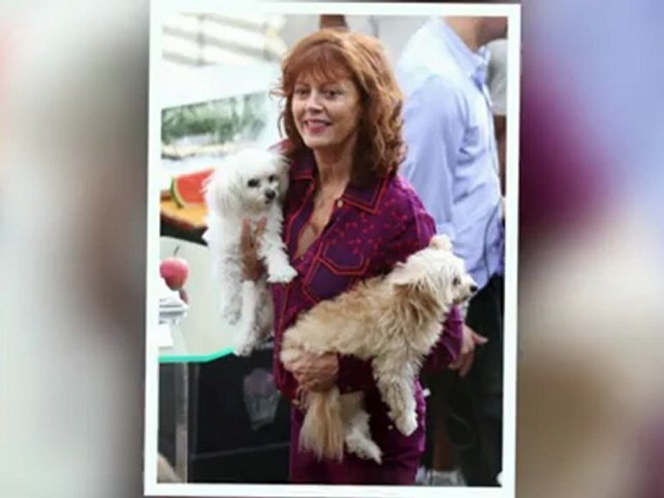 Celebrity Bytes: Celebrity Dog Lovers
