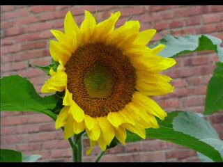 The summer modern style: Václav Kovalčík, July 2012