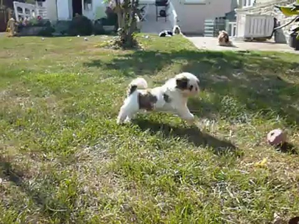 Harley le 17/09