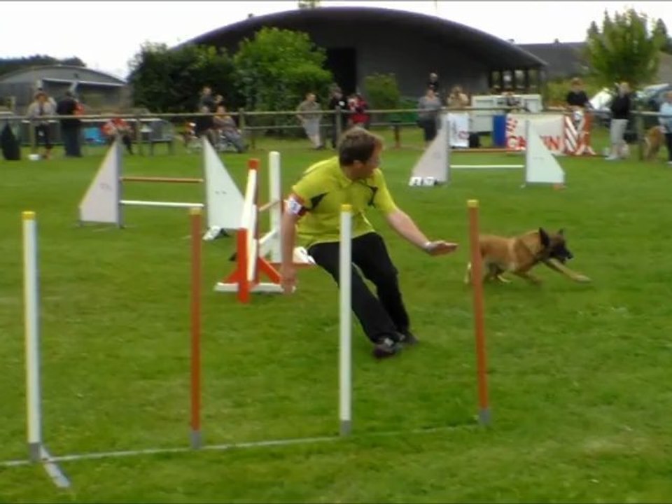 Concours Agility Damien et Djuna St André