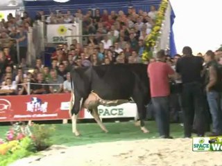 Concours Prim'holstein du Space - "l'un des plus beaux d'Europe"