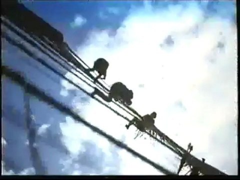 Jurassic Park Parque Jurásico Trailer Español