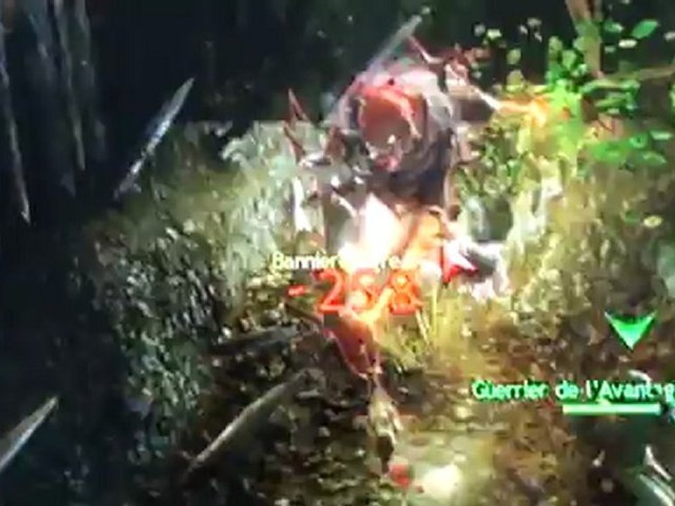 bug guild wars 2