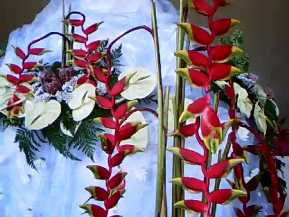 St Eufemia 2012