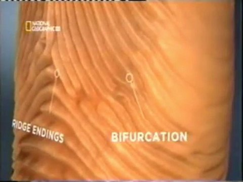 Criminologia: Tecnicas de identificacion de huellas dactilares
