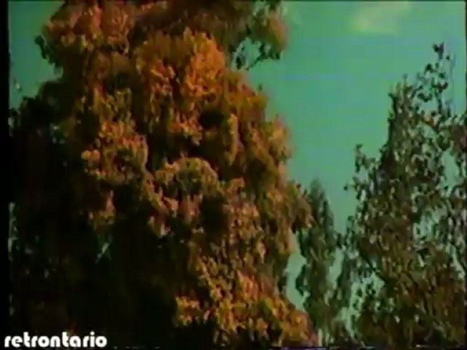 CityTV Late Great Movie Mark Dailey 1992