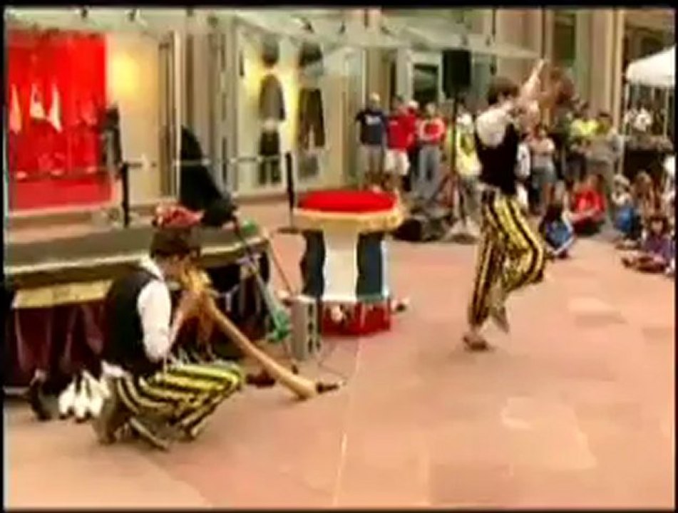 Art of Street Performing with Cellini - Volume 1 (DVD) - Magic Trick