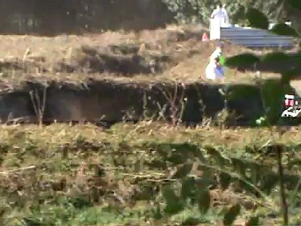 ANGRIE 2012