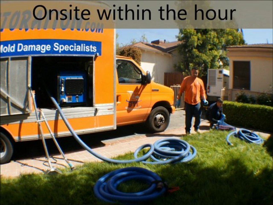 Water Damage Repair Ft. Lauderdale