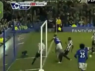 Everton 2-2 Newcastle United All Goals FutbolManiak.eu