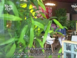Panda E09 Thai