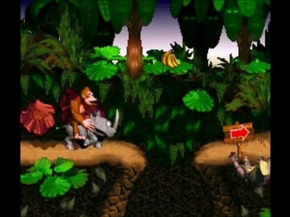 dkc u v12 jumpinmidair_FINAL