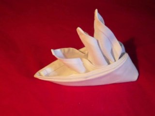 How To Fold Napkins - Bird Of Paradise