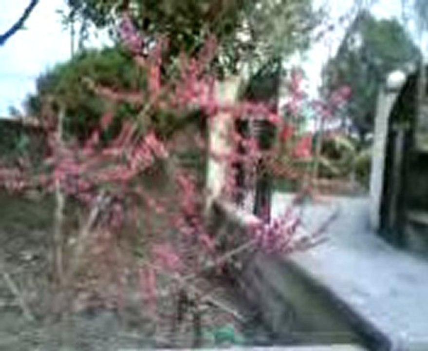 CÔNG TY TNHH DV & KT ĐIỆN TỬ ĐIỆN LẠNH BÁCH KHOA  TRUNG TÂM DỊCH VỤ SỬA CHỮA, BẢO TRÌ CHUYÊN NGHIỆP TẠI HÀ NỘI  Nhận sửa chữa, bảo dưỡng, lắp đặt… tại nhà & cơ quan.  www.suadienlanhtainha.com 1.SỬA ĐIỀU HOÀ…   Sửa máy không chạy, không lạnh, kém lạnh, kh