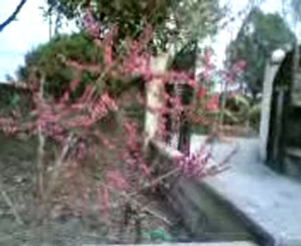 CÔNG TY TNHH DV & KT ĐIỆN TỬ ĐIỆN LẠNH BÁCH KHOA TRUNG TÂM DỊCH VỤ SỬA CHỮA, BẢO TRÌ CHUYÊN NGHIỆP TẠI HÀ NỘI Nhận sửa chữa, bảo dưỡng, lắp đặt… tại nhà & cơ quan. suadienlanhtainha.com 1.SỬA ĐIỀU HOÀ… Sửa máy không chạy, không lạnh, kém lạnh, kh