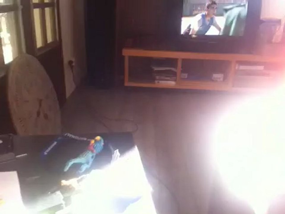 Vidéo0003.mov