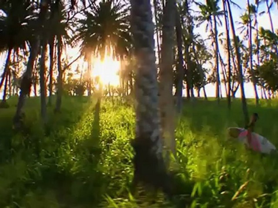 Four Surfers. Four Careers. Four Paths - 4 Surfing TEASER