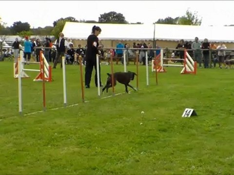Concours Agility Marie et tika st André