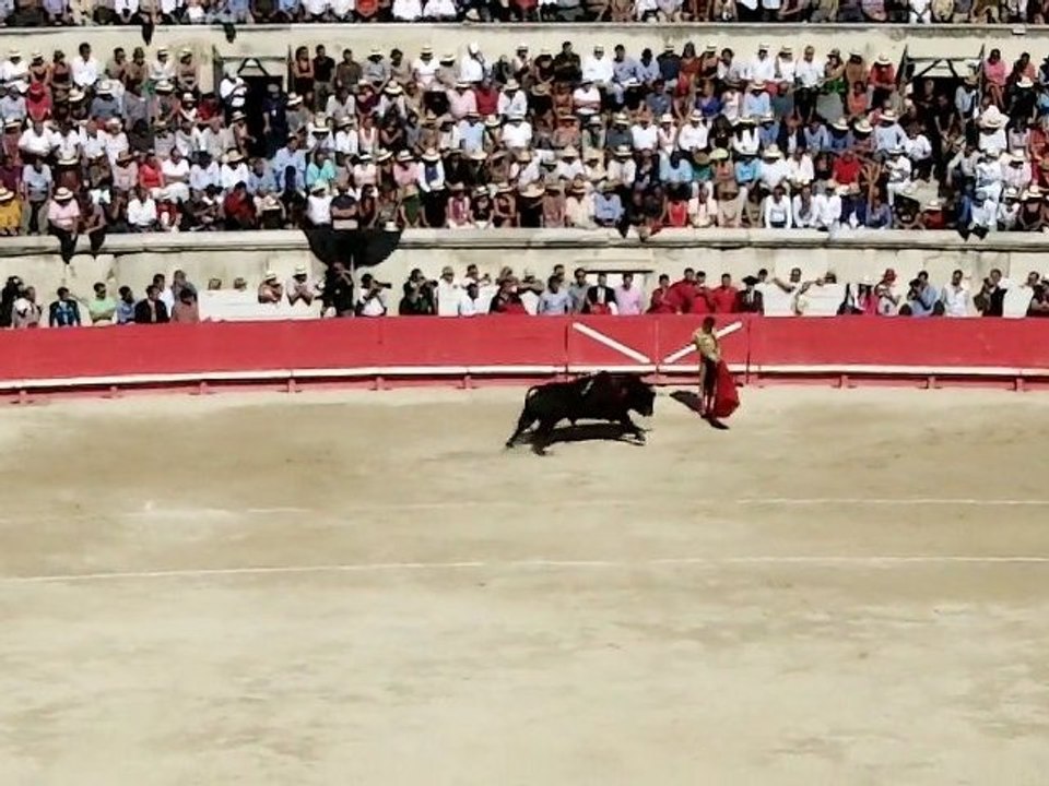 José Tomas à son 1er toro 16/09/2012