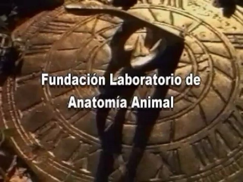 Fundacion Laboratorio de Anatomia Animal, objetivos (en Español)