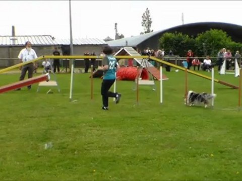 Concours agility st André 2012 Laurence et crunch