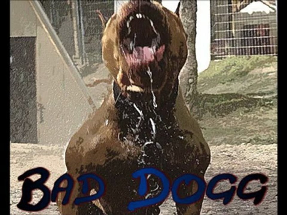 Bad Dogg - I Drop my Cap Down (Official Video)