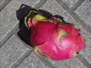 Still life of the freedom: Václav Kovalčík, May 2012