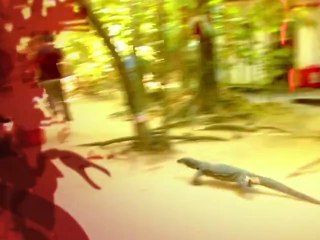 BBC.Deadly.60.Series2.16of26.Romania