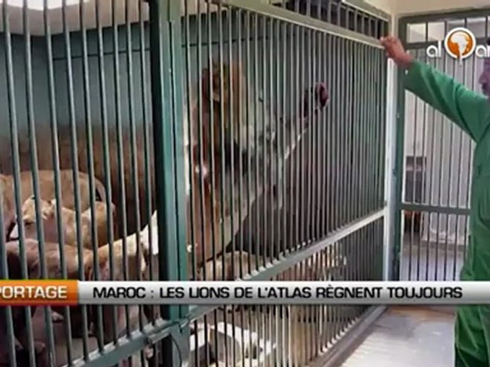 Maroc: Les lions de l’Atlas règnent à nouveau