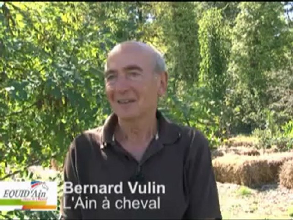 Le cheval dans l'Ain - Département de l'Ain