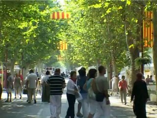 FETES PROVENCALES 2012.