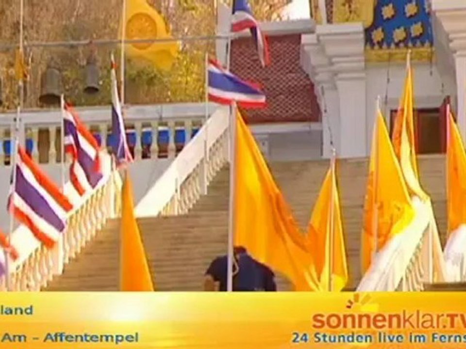 Tipp Cha Am - Affentempel