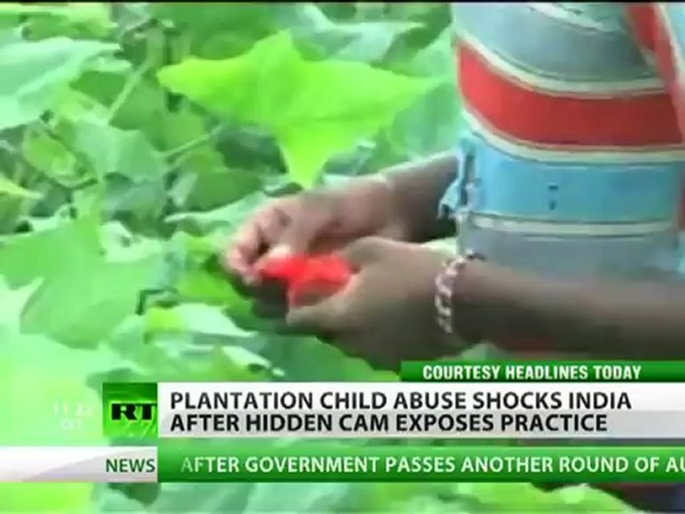 Cheated out of Childhood: Hidden cam exposes plantation abuse