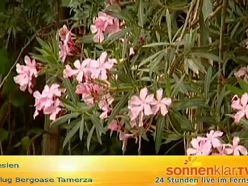 Tipp Tunesien - Ausflug Bergoase Tamerza