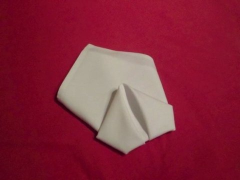 Napkin Folding - Cone Fold