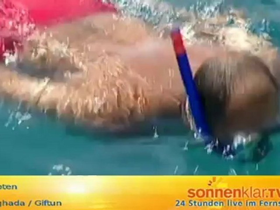 Tipp Ägypten - Hurghada / Giftun