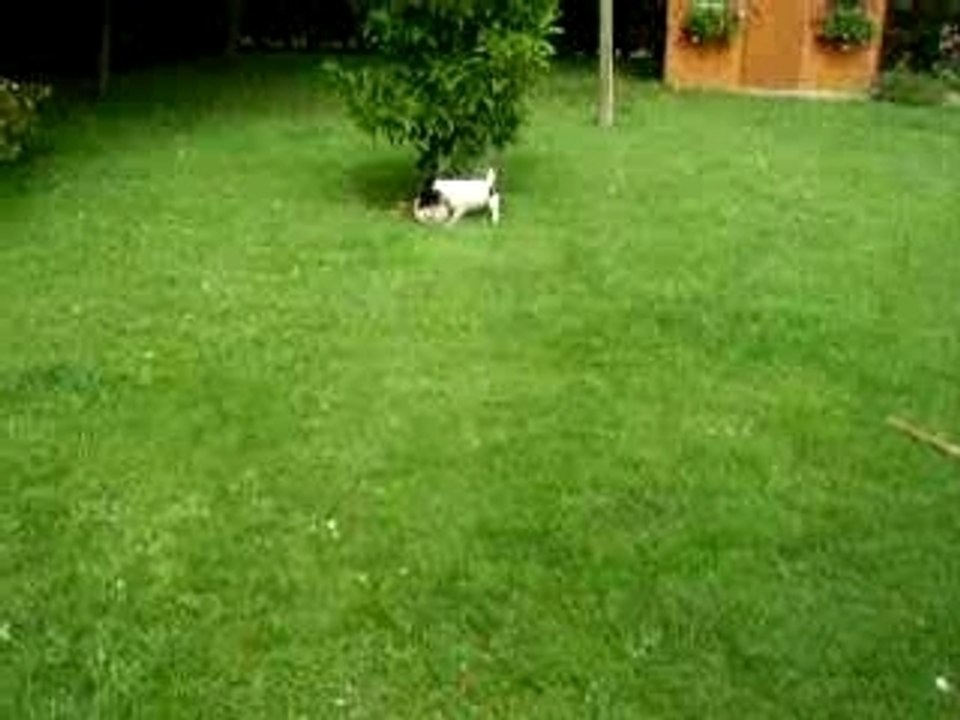 Léo joue au foot 3