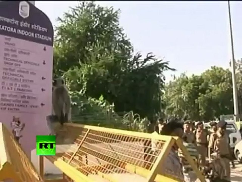 Monkeys hired to guard 2010 Commonwealth Games in India