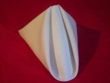 Folding Table Napkins - Pyramid Fold