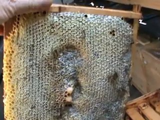 Bazele Matematicii - Curs.5,Lectia-9 - Inmultirea