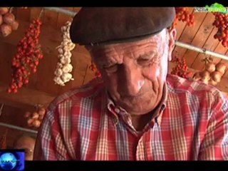 TG ISOLAVERDE EDIZIONE DI MARTEDI 18 SETTEMBRE