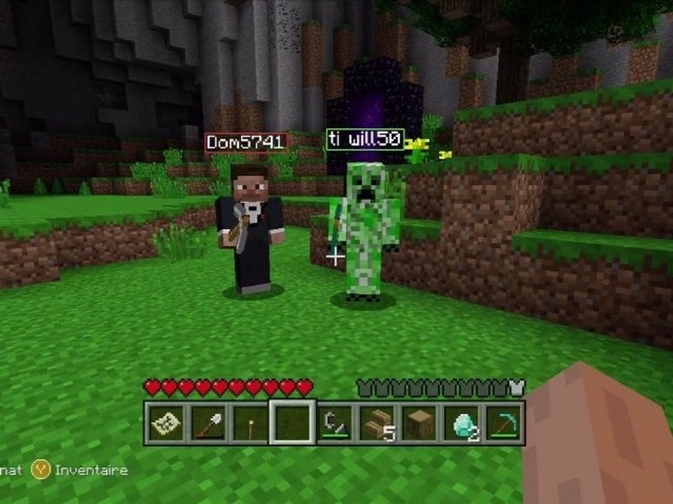 Minecraft avec des internautes