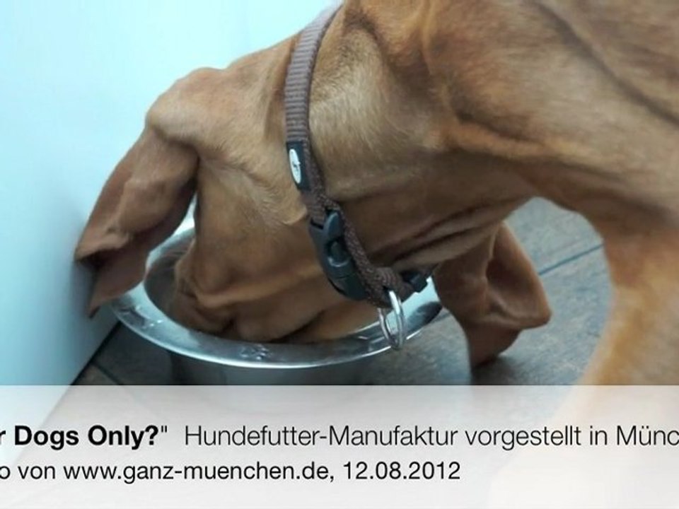 'For Dogs Only?'  Hundefutter-Manufaktur vorgestellt in München