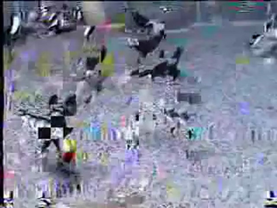 wwww.güvercinurfa.com  www.güvercinrehberi.com