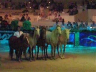 Jean Francois Pignon