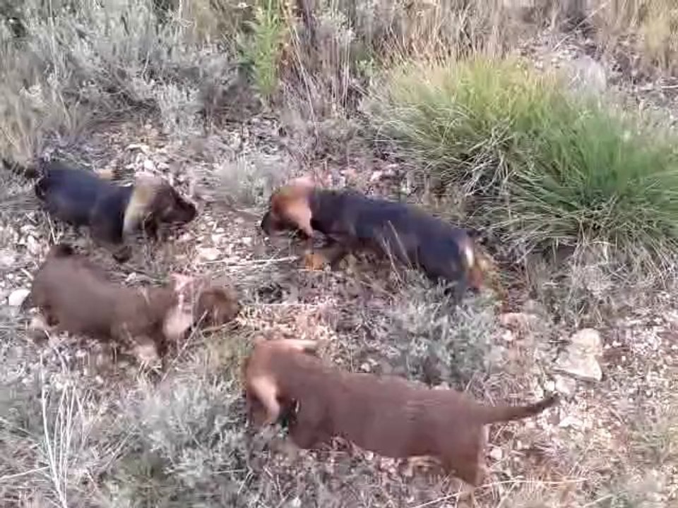 video-2012-09-18-17-54-42