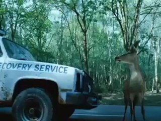 Deer - Clip Deer (English)