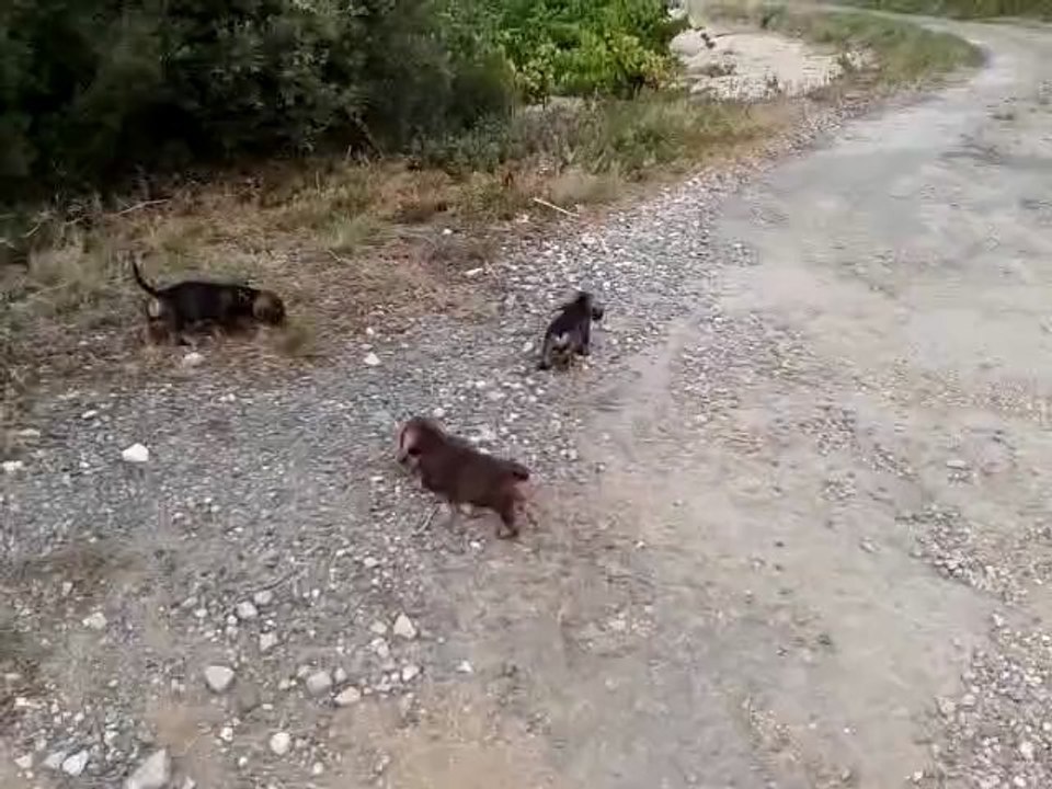 video-2012-09-18-17-59-00